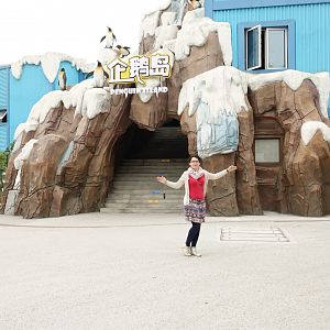 House of pinguins - 16.04.2018