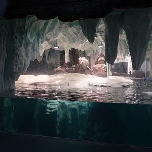 Inside the pinguin house - 16.04.2018