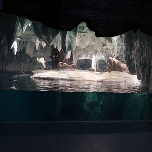 Inside the pinguin house - 16.04.2018