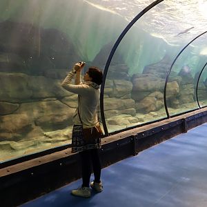 Inside the pinguin house - 16.04.2018