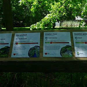 New signs, May 2019 #1