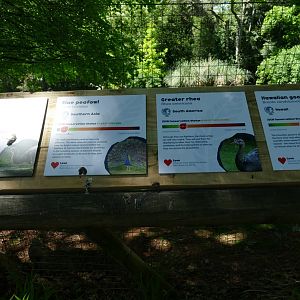 New signs, May 2019 #2