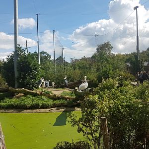 View into Snavelrijk - large walk-through aviary
