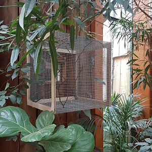 Temperaly Weaver-enclosure