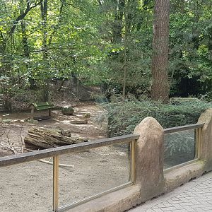Patagonian mara enclosure