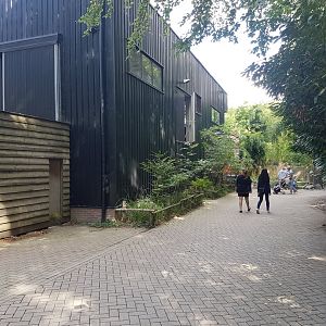 Outside Nocturnal House