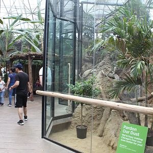 Small Mammal Reptile House Renovations - Patagonian Cavy Exhibit