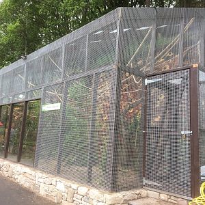 Prevost’s squirrel enclosure