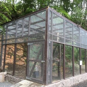 Bat eared fox enclosure