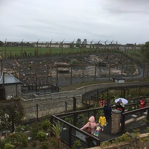 New snow leopard enclosure