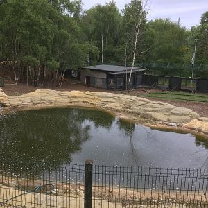 Brazilian tapir enclosure
