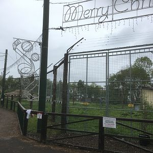 Lion enclosure