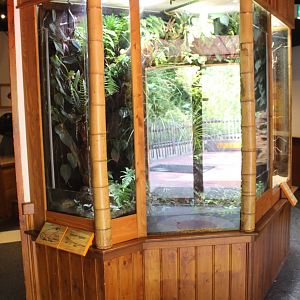 Enclosure Golden mantella - and day gecko