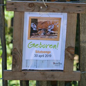 Birth-sign Sitatunga