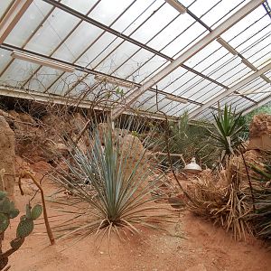 Desert House 23 May 2019