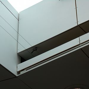 Fledgling Long-Tailed Tit? Eden Project shop 24 May 2019