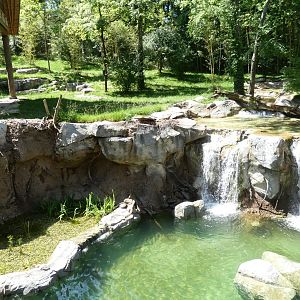 May. 2019 - New! Tiger Crossroads - Sumatran Tiger Exhibit