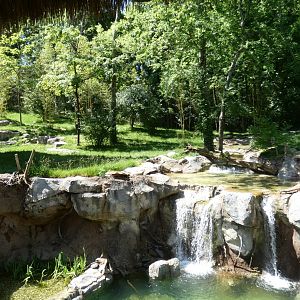 May. 2019 - New! Tiger Crossroads - Sumatran Tiger Exhibit