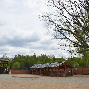 Entrance Area at Rezerwat Pokazowy Żubrów, Białowieża 07/05/19