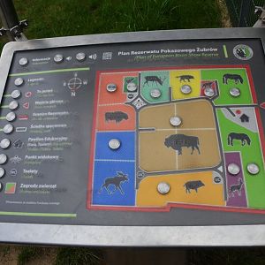 Map at Rezerwat Pokazowy Żubrów, Białowieża 07/05/19