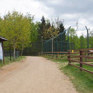 General View at Rezerwat Pokazowy Żubrów, Białowieża 07/05/19