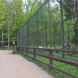 Lynx Enclosures at Rezerwat Pokazowy Żubrów, Białowieża 07/05/19