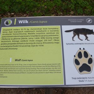 Signage Example at Rezerwat Pokazowy Żubrów, Białowieża 07/05/19