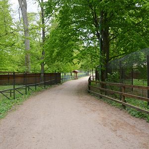 General View at Rezerwat Pokazowy Żubrów, Białowieża 07/05/19
