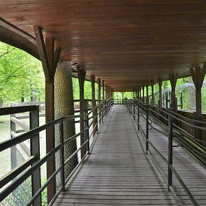 Viewing Area for Red Deer and Wolves at Rezerwat Pokazowy Żubrów, Białowieża 07/05/19