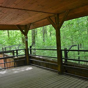 Viewing Area for Red Deer and Wolves at Rezerwat Pokazowy Żubrów, Białowieża 07/05/19
