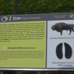 Signage Example at Rezerwat Pokazowy Żubrów, Białowieża 07/05/19