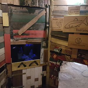 Aquarium and signs Mexican blind cave fish