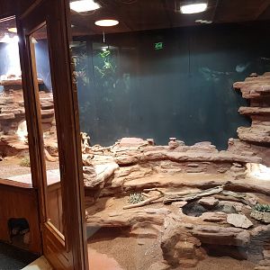 Desert-enclosure at 100.000 Animal House