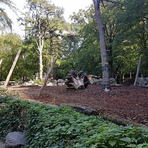 Indian rhino-enclosure