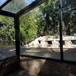 View into Penguin-enclosure