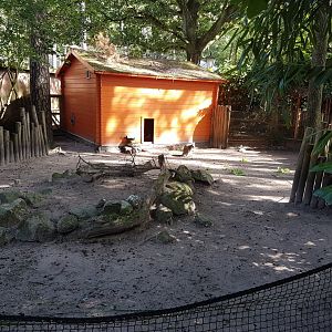 Enclosure Tammar wallaby