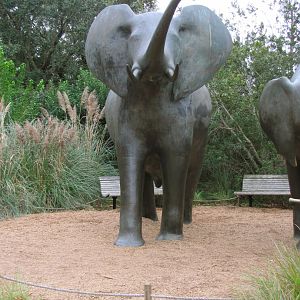 African Elephant Statue