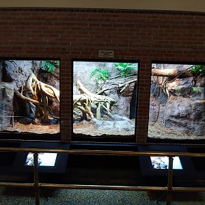 4: Reticulated Python