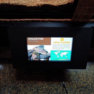 The new video displays are very nice