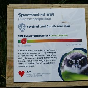 New Spectacled owl sign, May 2019