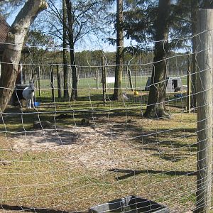 Farm Fun - Donkey exhibit