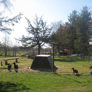 Farm Fun - Goat exhibit #2
