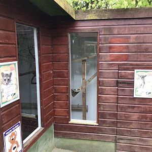 Ringtail enclosure section 280419