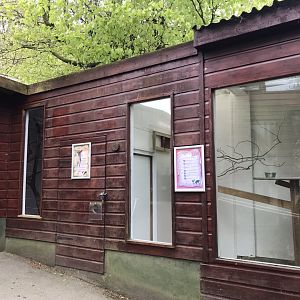 Ringtail enclosure section 280419