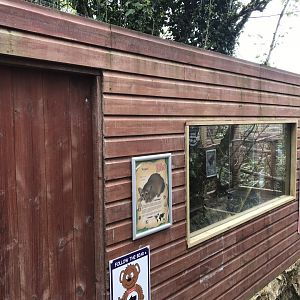 Ringtail enclosure section 280419