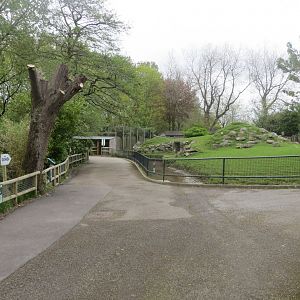 View across zoo 290419