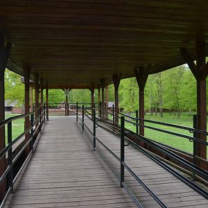 Bison Viewing Area at Rezerwat Pokazowy Żubrów, Białowieża 07/05/19