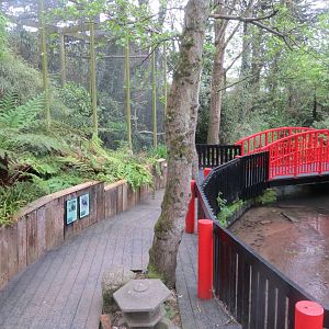 View towards Wreathed hornbill aviary 290419