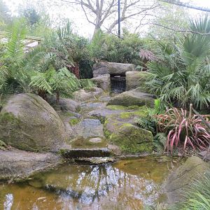 Gems of the Jungle 290419