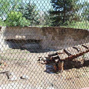 Harmony Hill (new for 2019)